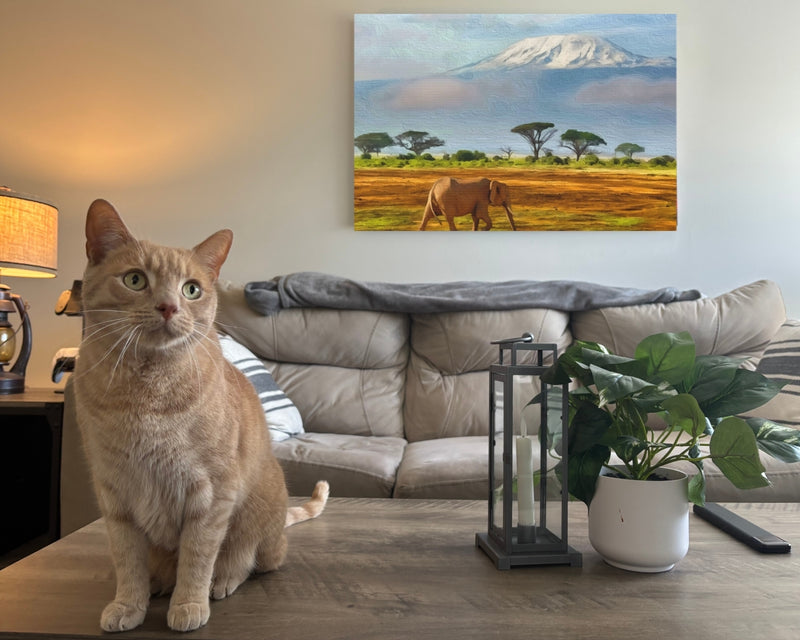 Amboseli, Kenya | Elephant Before Kilimanjaro | Original Series Gallery Canvas