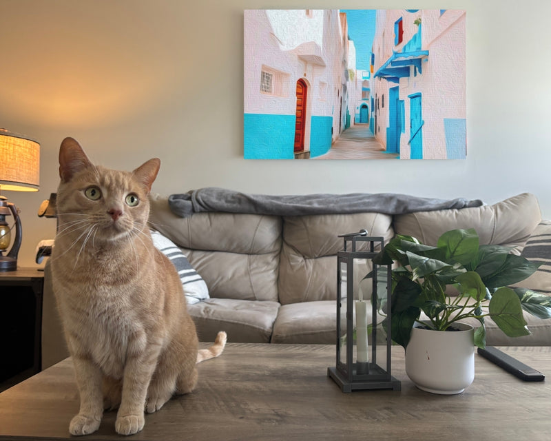 Asilah, Morocco | Blue Alleyway Streets | Original Series Gallery Canvas