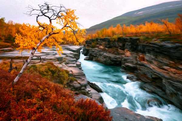 Abisko Canyon Rapids, Abisko watercolor canvas