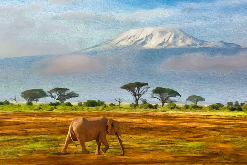 Elephant Before Kilimanjaro, Amboseli canvas