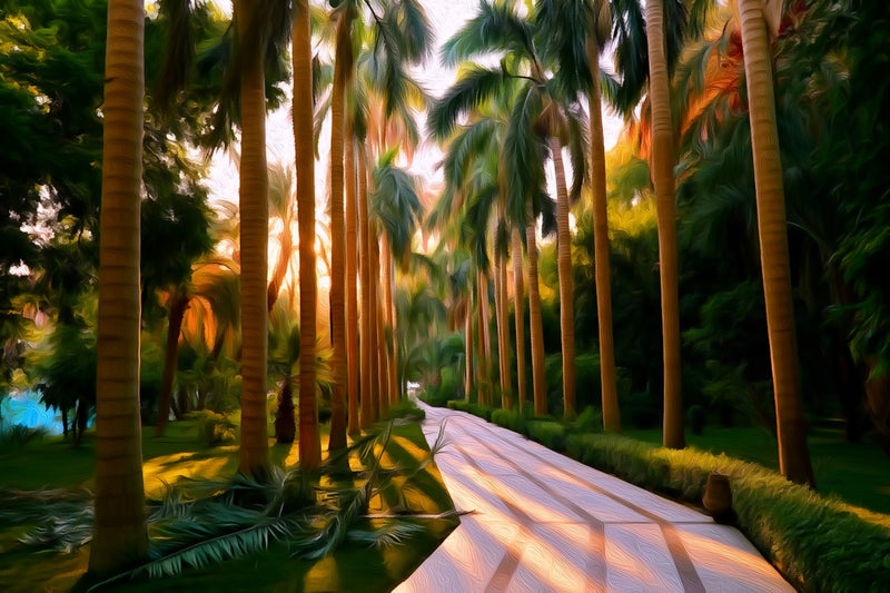 Aswan Palm-Lined Promenade, Aswan canvas