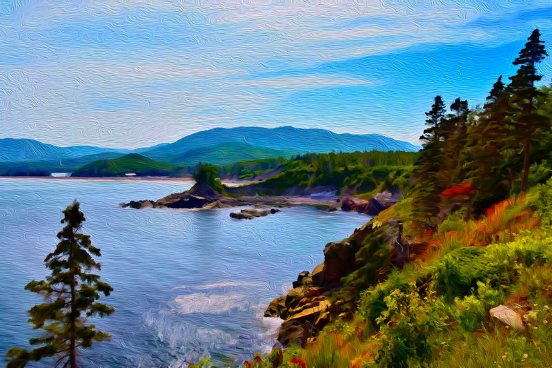 Rocky Coastal Wilderness Vista, Cape Breton Island canvas