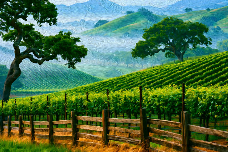 Vineyard Hills Rolling Green, Carmel Valley canvas