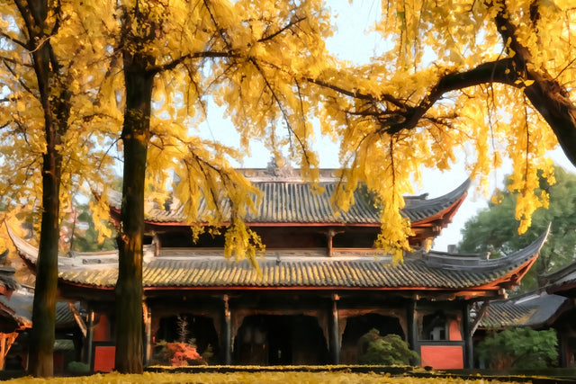 Wenshu Monastery Autumn Ginkgo, Chengdu watercolor canvas