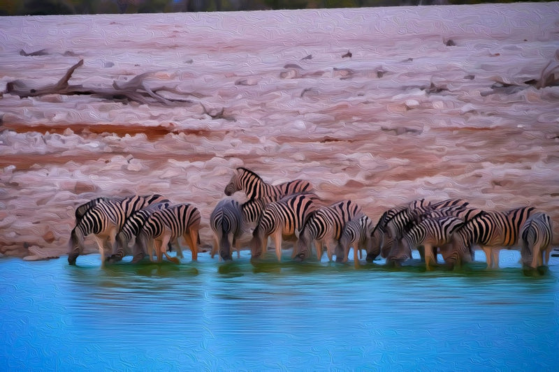 Zebras at Watering Hole, Etosha National Park canvas