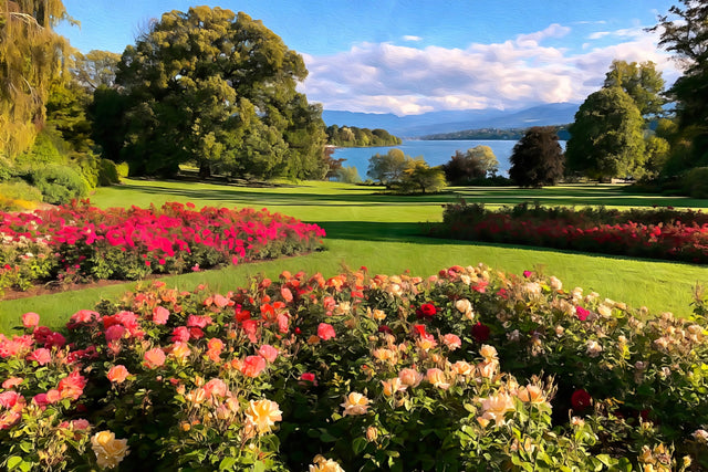 Geneva Lakeside Rose Garden, Geneva watercolor canvas