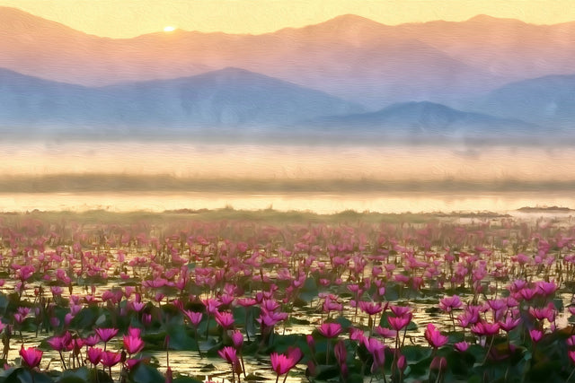 Inle Lake Lotus Fields, Inle Lake watercolor canvas