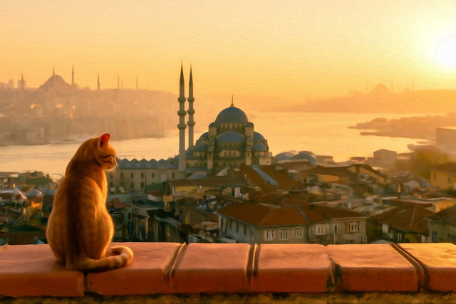New Mosque Golden Horn Istanbul, Istanbul watercolor canvas