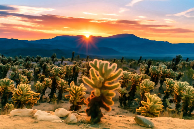 Cholla Cactus Garden Sunset, Joshua Tree watercolor canvas