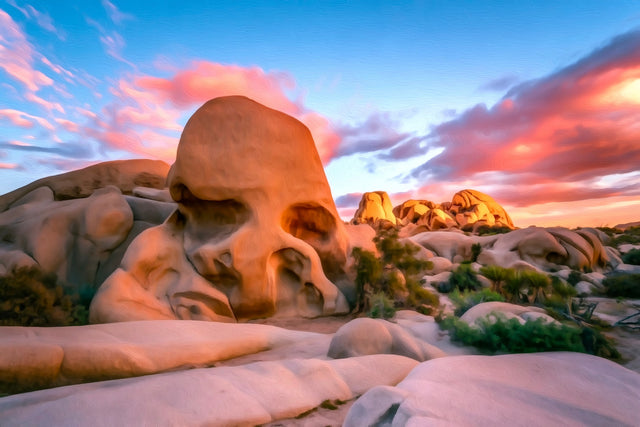 Skull Rock Joshua Tree, Joshua Tree watercolor canvas