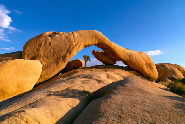 Arch Rock Joshua Tree, Joshua Tree watercolor canvas