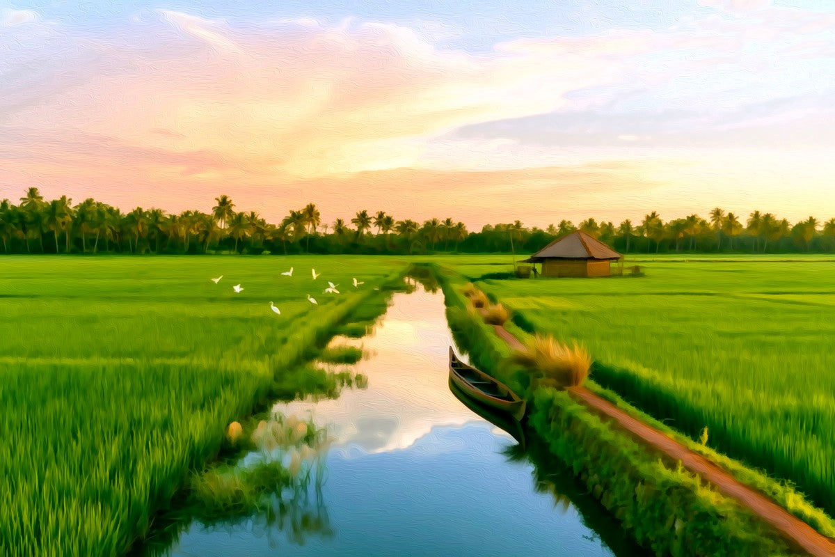 Kerala Backwaters Rice Fields gallery canvas, unframed and in an espresso floating frame — Kerala Backwaters, India