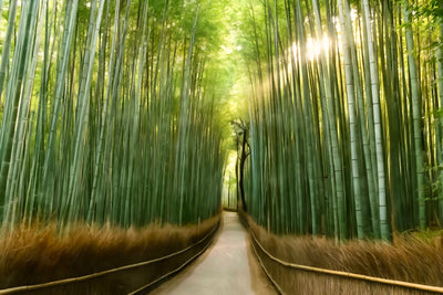 Kyoto watercolor canvas