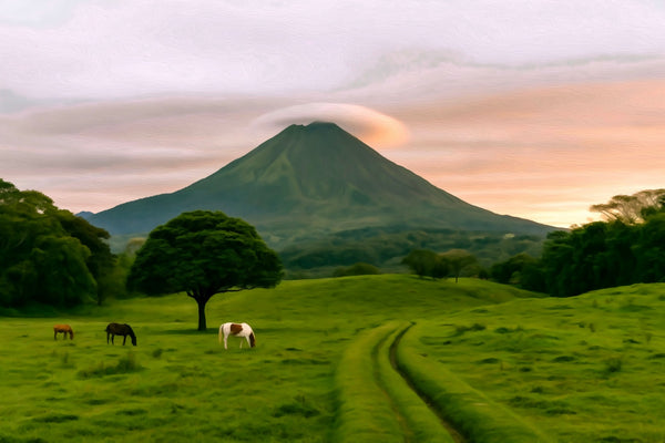 Arenal Volcano Pastoral Meadow, La Fortuna watercolor canvas