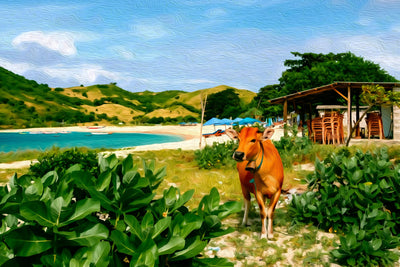 Lombok watercolor canvas