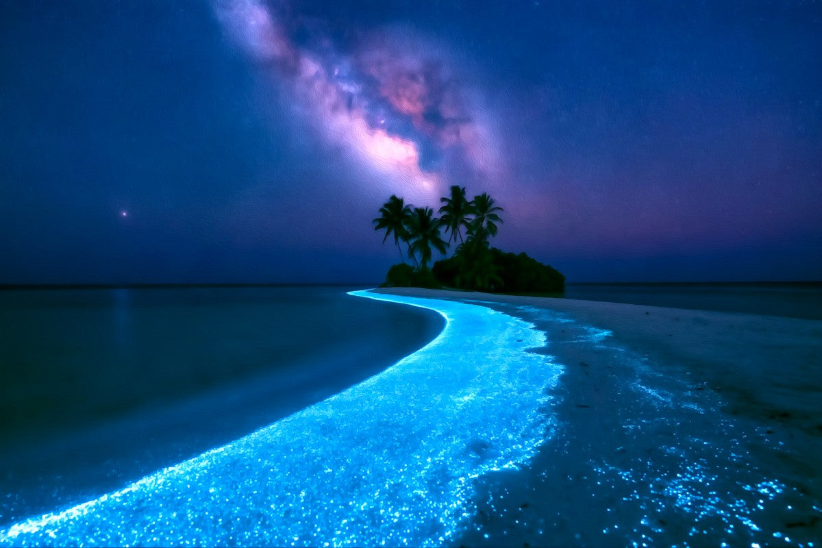 Maldives Bioluminescent Beach Night gallery canvas, unframed and in an espresso floating frame — Maldives