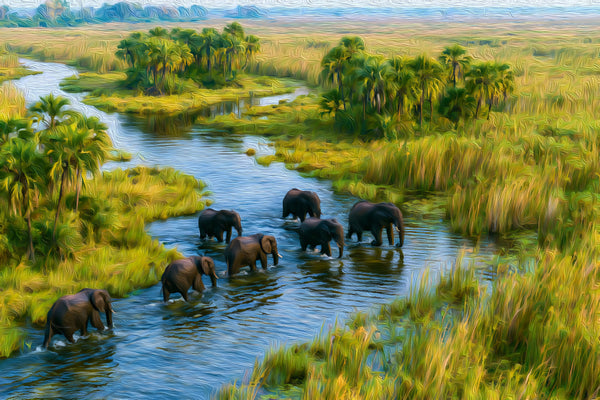 Okavango Delta Elephant Crossing, Maun watercolor canvas