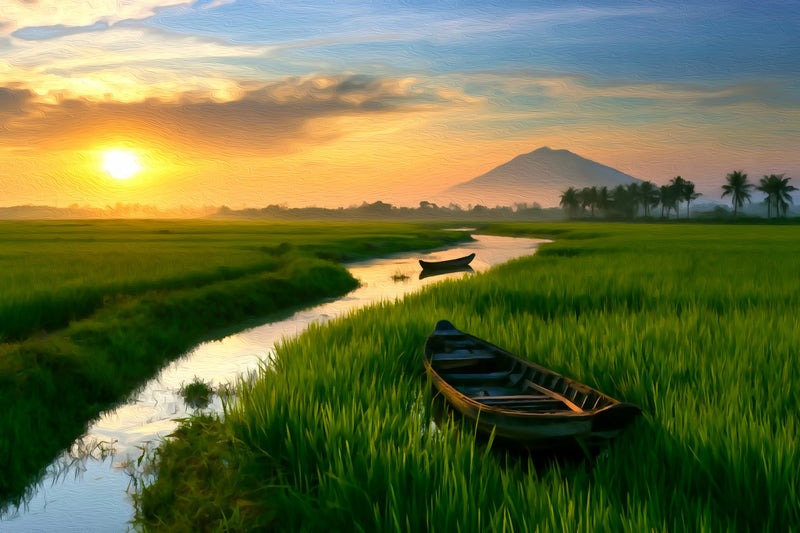 Mekong Delta Rice Fields, Mekong Delta canvas