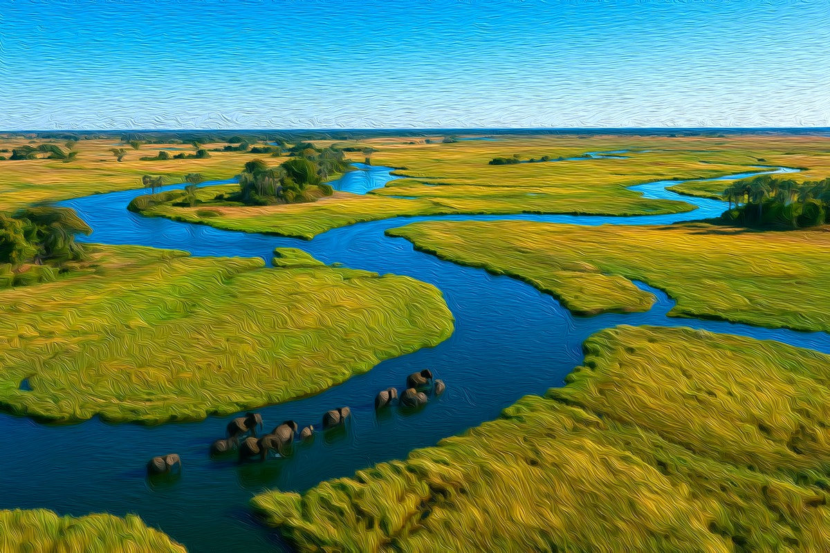 Okavango Delta Elephant Crossing gallery canvas, unframed and in an espresso floating frame — Okavango Delta, Botswana