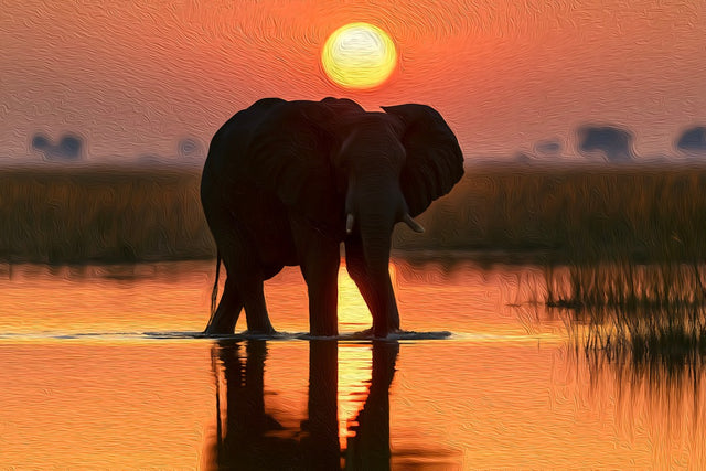 Okavango Delta Elephant Sunset, Okavango Delta watercolor canvas