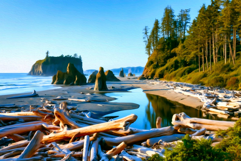 Ruby Beach Sea Stacks, Olympic National Park canvas