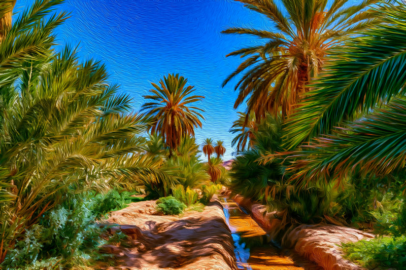 Ouarzazate Palm Oasis Stream, Ouarzazate canvas