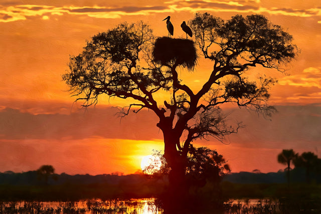Pantanal Sunset Jabiru Nest, Pantanal watercolor canvas