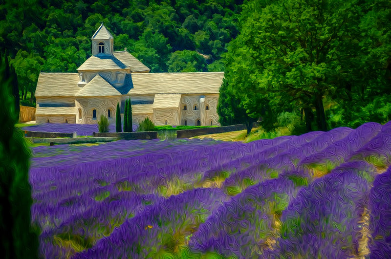Sénanque Abbey Lavender Fields, Provence canvas