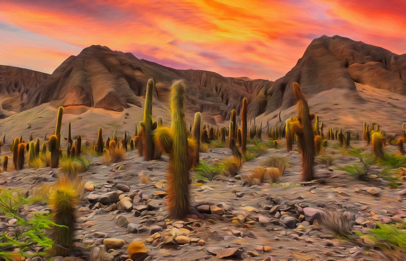 Los Cardones National Park Sunset, Salta canvas