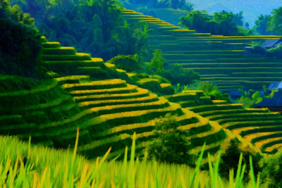 Sapa watercolor canvas