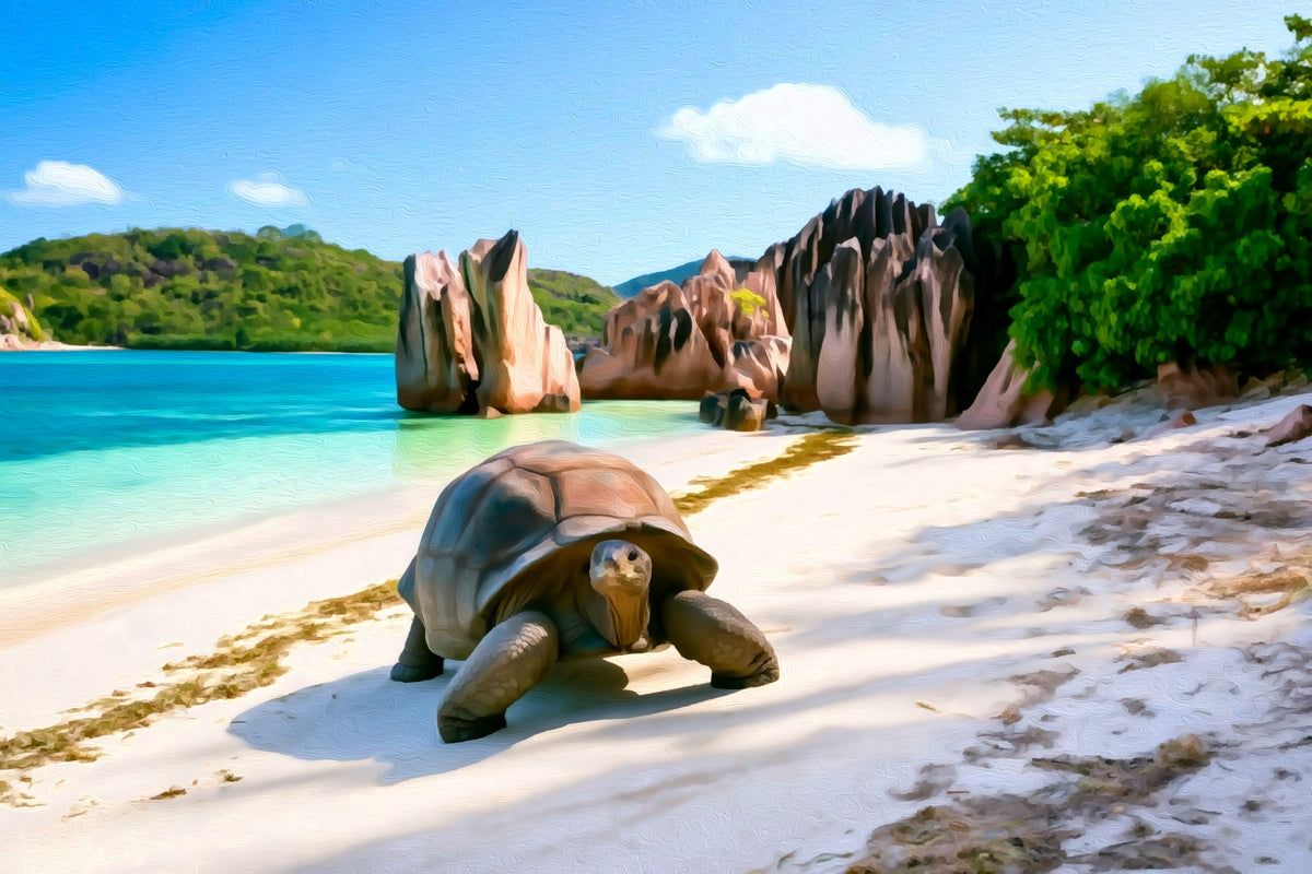 Anse Source d'Argent Beach gallery canvas, unframed and in an espresso floating frame — Seychelles