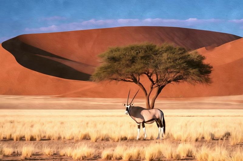 Sossusvlei Oryx Acacia Dunes, Sossusvlei canvas