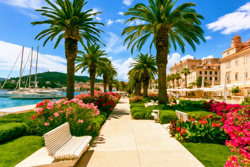 Split Riva Promenade Palms, Split canvas