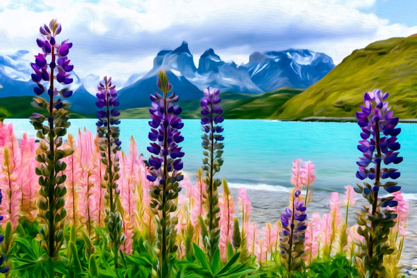 Torres del Paine Cuernos Lupines, Torres del Paine watercolor canvas