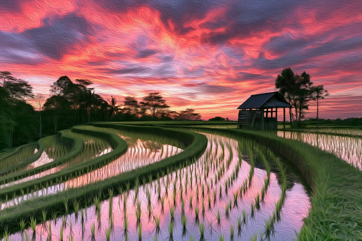 Ubud Rice Terraces Sunset gallery canvas, unframed and in an espresso floating frame — Ubud, Indonesia