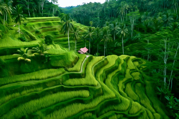 Tegallalang Rice Terraces, Ubud watercolor canvas