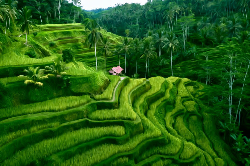 Tegallalang Rice Terraces, Ubud canvas