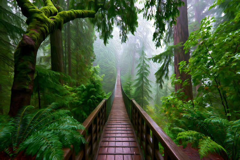 Rainforest Canopy Boardwalk Trail, Vancouver canvas