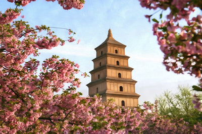 Xi'an watercolor canvas