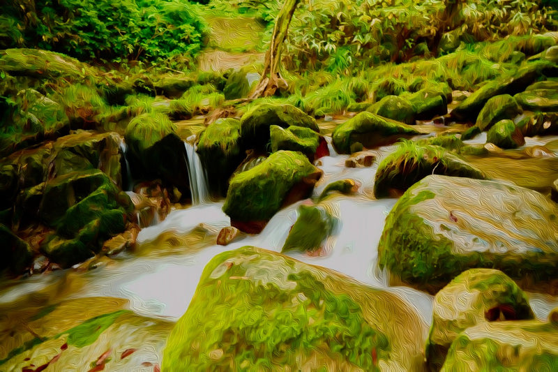 Ancient Forest Stream Cascade, Yakushima canvas