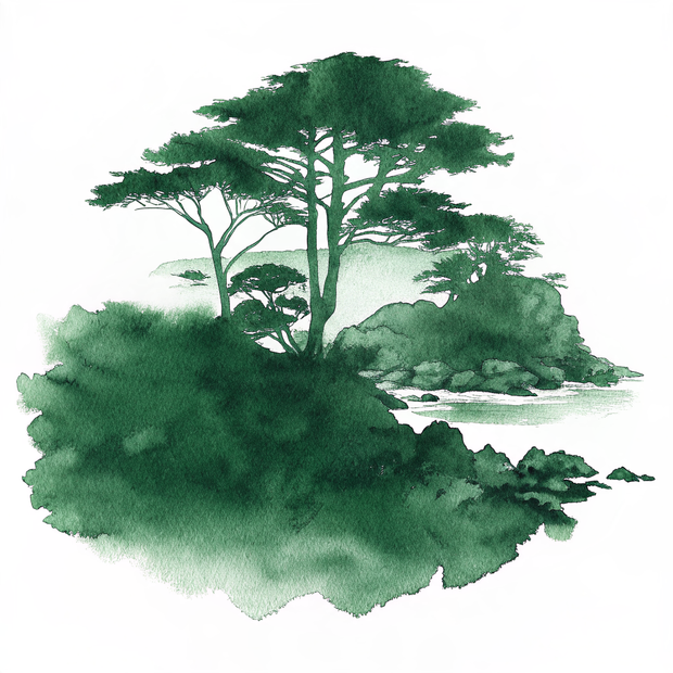 Carmel-by-the-Sea watercolor