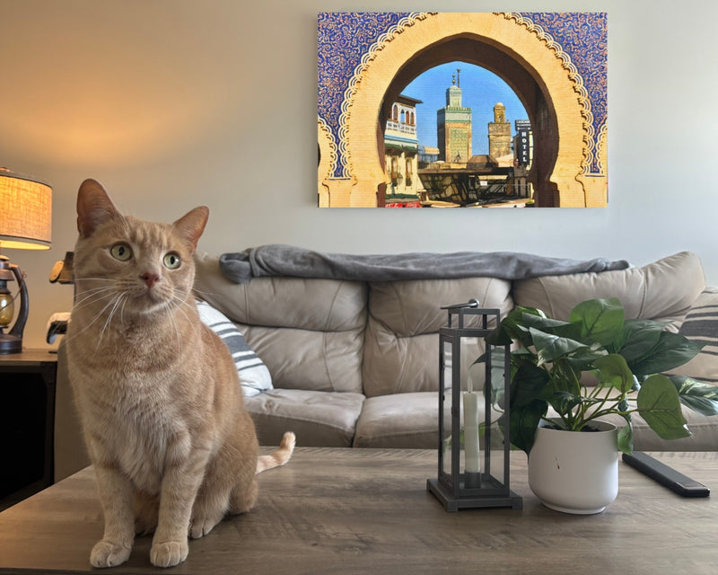 Fes, Morocco | Bab Bou Jeloud Blue Gate | Original Series Gallery Canvas