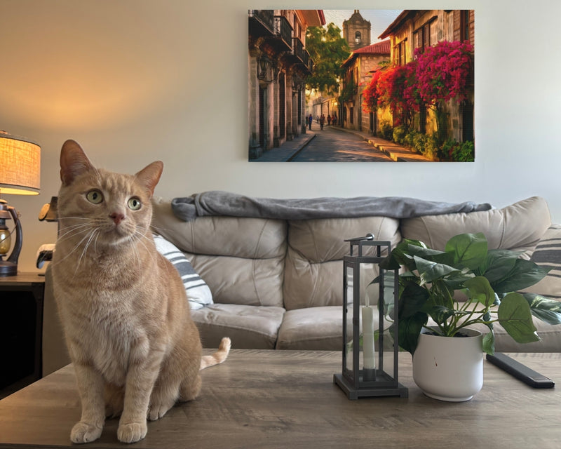 Intramuros, Manila | Historic Walled City Streets | Original Series Gallery Canvas