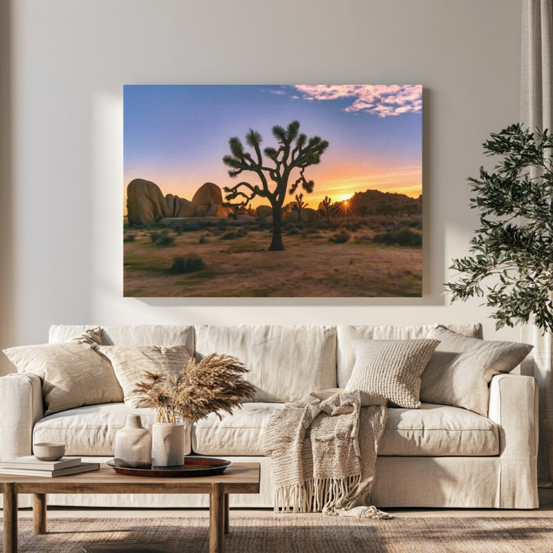 Joshua Tree Desert Sunrise in a room — Joshua Tree, California