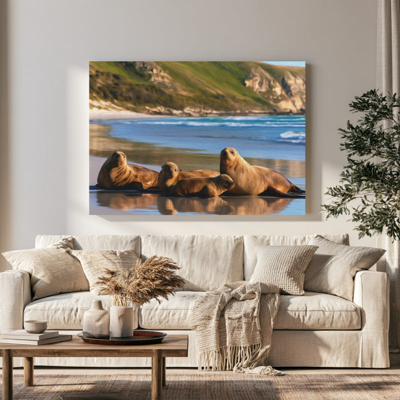 Seal Bay Sea Lions in a room — Kangaroo Island, Australia