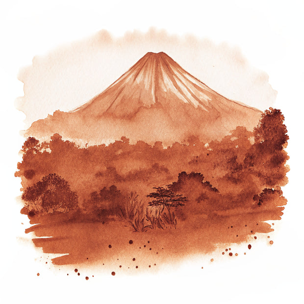 La Fortuna watercolor