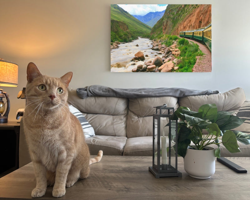 Machu Picchu, Peru | Urubamba River Train Journey | Original Series Gallery Canvas