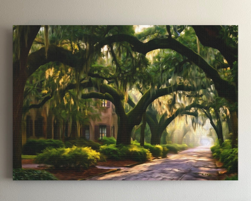 Savannah Historic District, Georgia | Live Oak Canopy Avenue | Original Series Gallery Canvas
