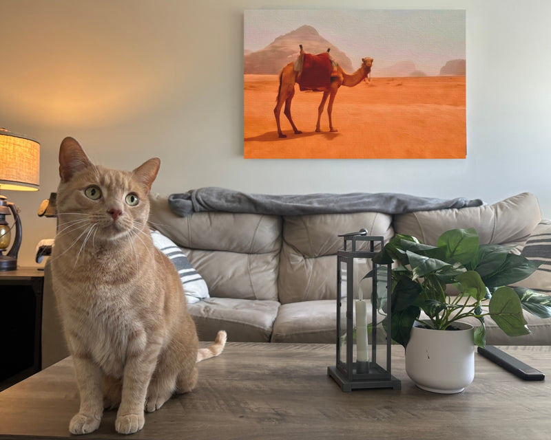 Wadi Rum, Jordan | Desert Valley Camel At Dusk | Original Series Gallery Canvas