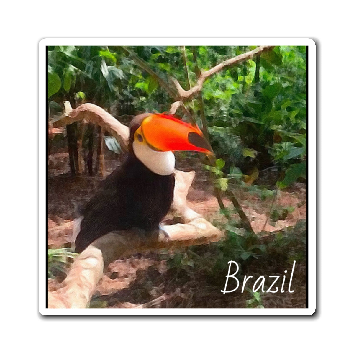 Brazilian Rainforest Magnet 🦜